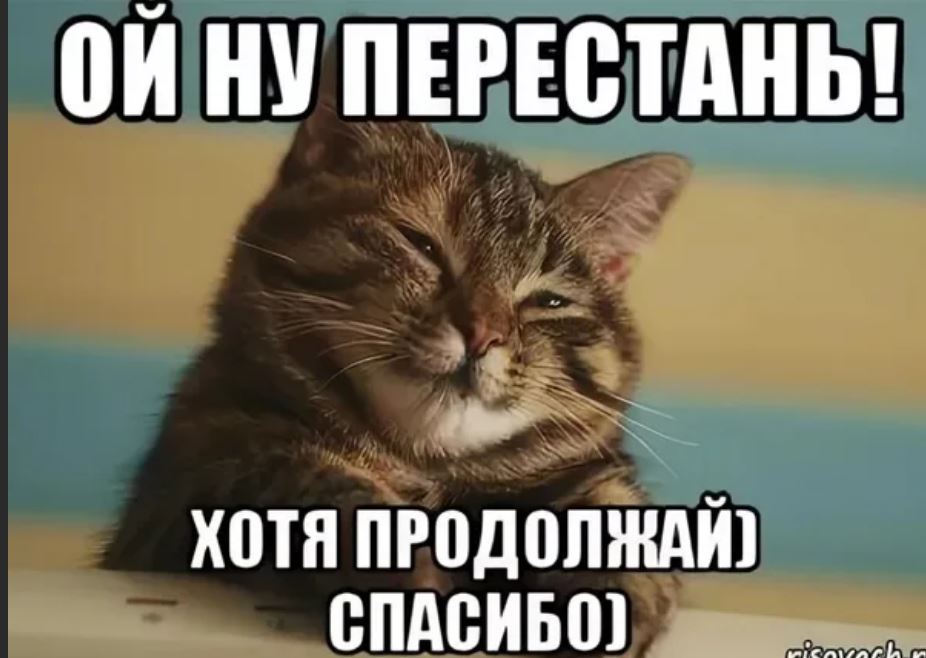 Значит продолжай. Ну перестань. Кот Мем. Мемы с котиками. Ну перестань хотя продолжай.